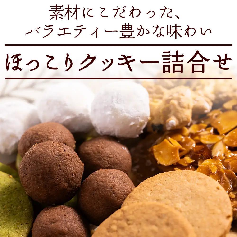クッキー 詰め合わせ 合計45枚以上（全10種類 各1袋入り）お菓子 スイーツ クッキー oh-0017