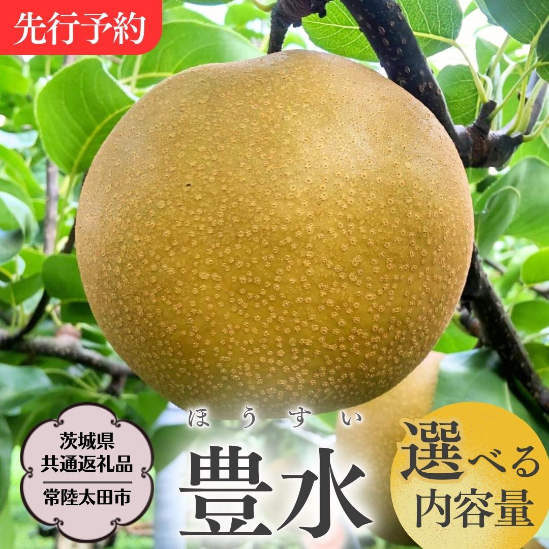 【ふるさと納税】《2025年8月下旬発送開始》 茨城県産 梨 「 豊水 」【茨城県共通返礼品／常陸太田市】 約3kg 約5kg 桧山果樹園 農家直送 桧山果樹園 農家直送 フルーツ 甘い 直送 茨城 限定 ギフト 梨 豊水 ほうすい 果物