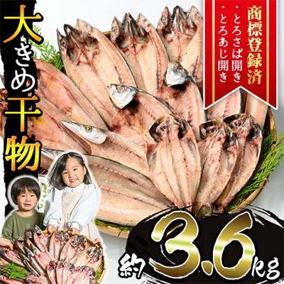 ふるさと納税 日置市 大きめ干物詰合せ 計3.6kg!【みのだ食品】No.406-B