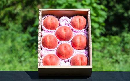 【2026年先行予約】柔らかめ白桃 約3kg（7玉～12玉）秀品 FSY-2531