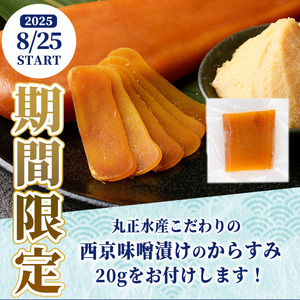 期間限定 西京味噌漬けからすみ20g付き！＜訳あり＞宮崎からすみ寒(100g)＜からすみパウダー40g付＞カラスミ 魚卵 珍味 つまみ 唐墨 珍味 酒の肴 ボラ ぼら 簡易包装 宮崎県 門川町【AW-