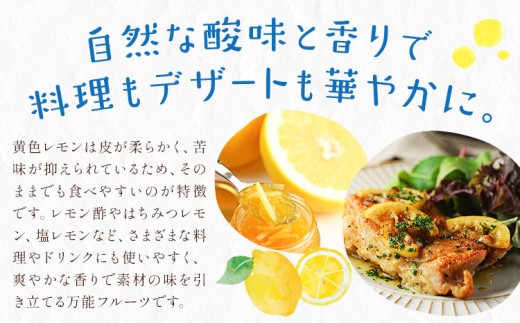 レモン 訳あり 黄色 檸檬 9kg (1kgあたり5-12玉前後) 株式会社農業福祉研究機構《2026年12月上旬-2027年2月上旬頃出荷》和歌山県 紀の川市 フルーツ 果物 お取り寄せフルーツ