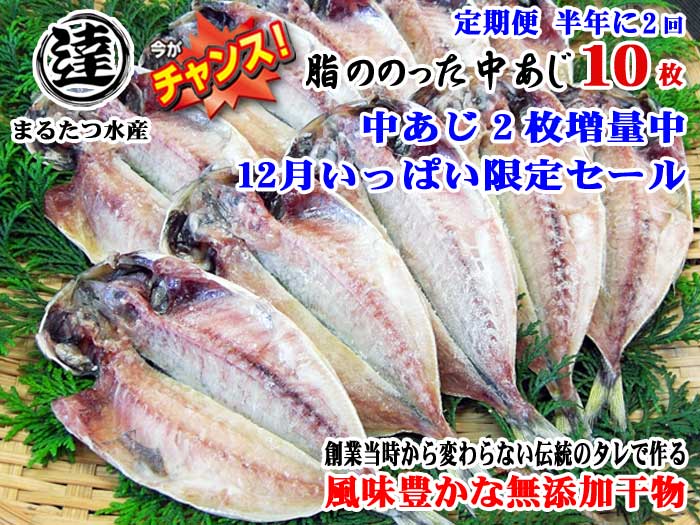 G2*【ふるさと納税】【定期便 全2回】創業32年 自社工場 製造直売 完全無添加 伊豆・丸達水産 脂ののった中あじ ひもの10枚+2枚 合計12枚セット 中あじひもの2枚増量中 今がチャンス 12月いっぱい限定セール 半年に2回