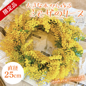 【3月以降発送・数量限定】大きな木から作るミモザのリース（限定品）【インテリア おしゃれ 壁飾り プレゼント お花 ギフト ナチュラル アレンジ フラワーアレンジ 水戸市 水戸 茨城県】（KW-5）