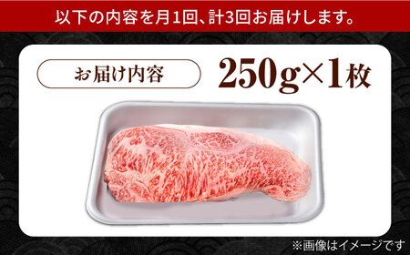【3回定期便】佐賀県産 黒毛和牛 サーロインステーキ 250g /ステーキ [IAG084]