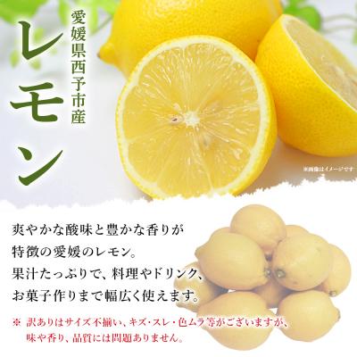 ふるさと納税 西予市 <愛媛県西予市産 訳ありレモン 約7kg> ワケアリ 家庭用 ご自宅用 れもん 檸檬 柑橘 果物 |  | 01