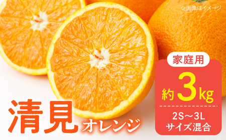 【2027年先行予約】家庭用 訳あり きよみ 清見オレンジ 和歌山 有田 2S～3Lサイズ混合 約3kg_DZ6226