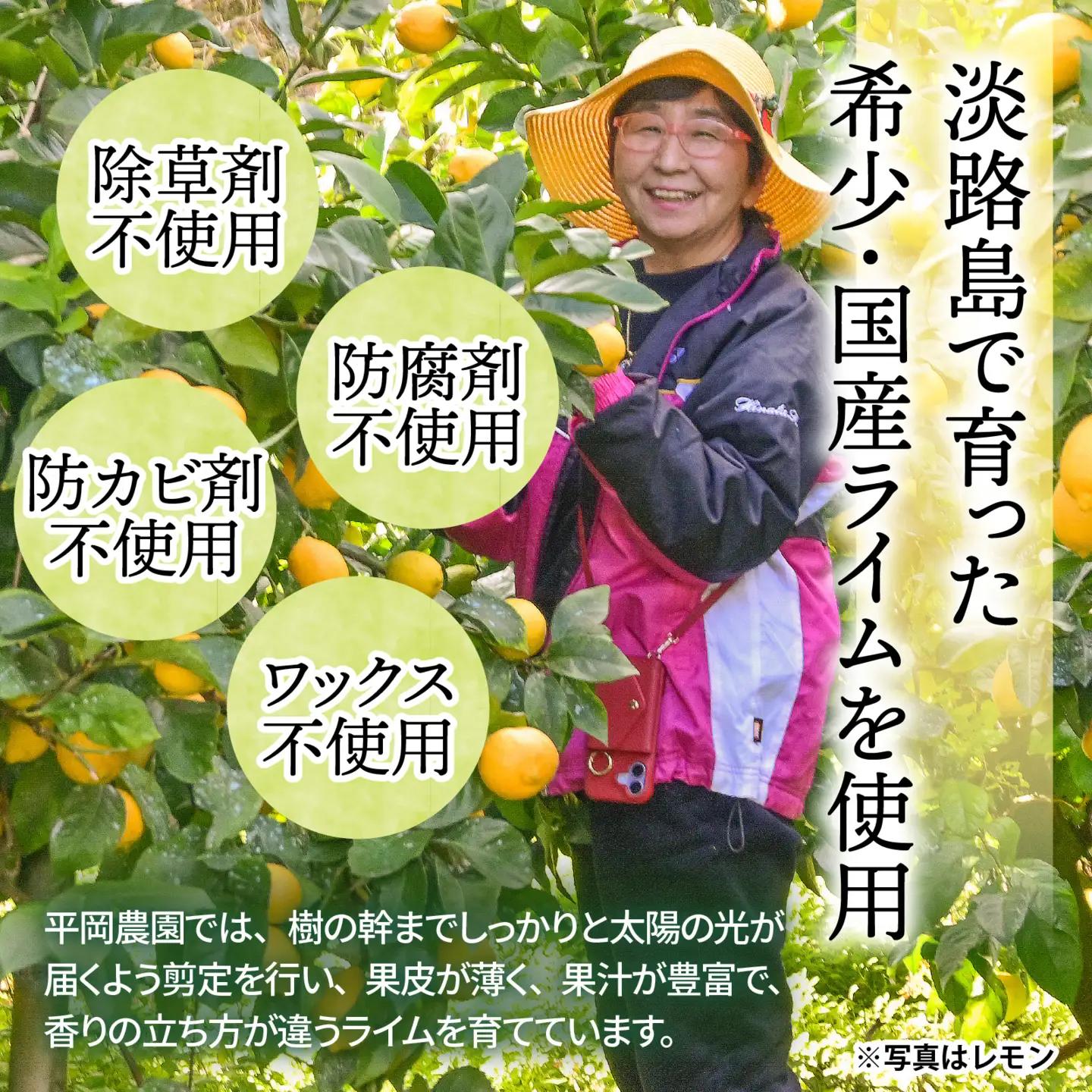 黄金 ライム ソルベ 4個 シャーベット （淡路島・平岡農園）  / シャーベット 