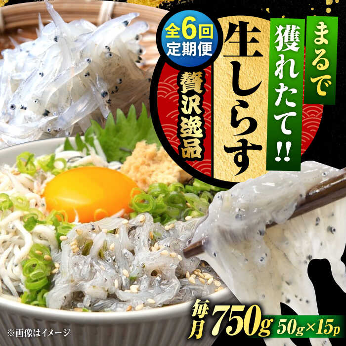 【ふるさと納税】【全6回定期便】鮮度抜群 生しらす 50g×15個 しらす 釜揚げ 冷凍 シラス 小分け パック 干し 魚介類 鮮魚 海鮮 海産物 セット 詰め合わせ ギフト 広島県産 人気 送料無料 江田島市/三島水産株式会社[XCN015]