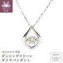 【ふるさと納税】 ネックレス ペンダント レディース ジュエリー アクセサリー ダイヤモンド 0.05ct プラチナ おしゃれ ギフト プレゼント ジュエリーケース付 鑑別書付 保証書付 k074-063