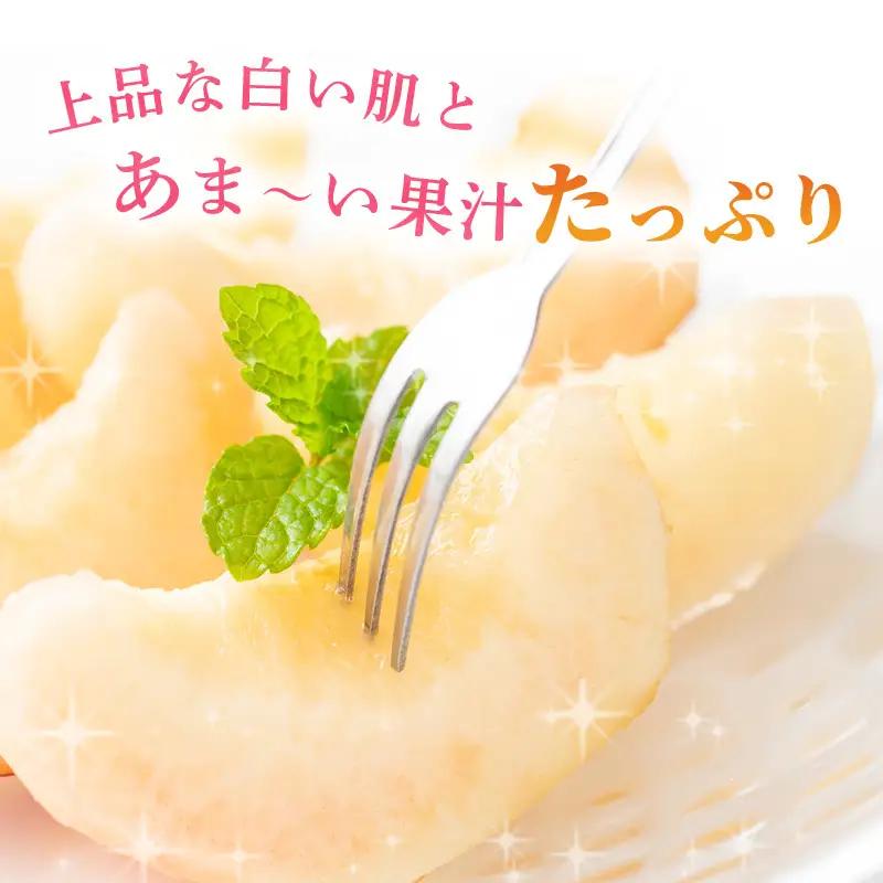桃 2026年 先行予約 ご家庭用 白桃（晩生種）5～6玉 合計約1.5kg  岡山県産 桃