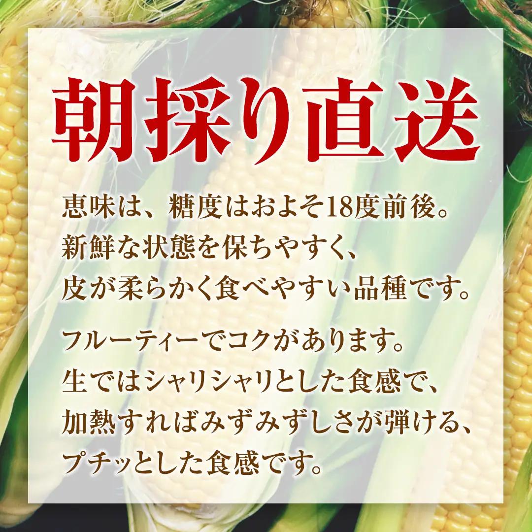 【ふるなびWEEK対象】 ＜レビューキャンペーン開催中＞【8月下旬発送開始】 甘～いトウモロコシ 恵味 5kg 約10～12本 [AL005tu02]