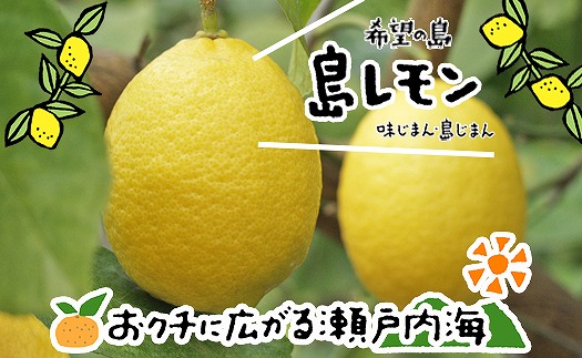 レモン 3kg 【10月中旬から発送予定】 愛媛 中島産 柑橘 レモン 希望の島
