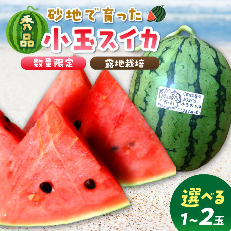 【ふるさと納税】【先行予約／数量限定100】にしまるスイカ 秀品（露地栽培）（2025年7月中旬から発送）1玉 2玉 選べる フルーツ 果物 数量限定 にしまる 小玉 甘い ジューシー 京都 ふるさと納税 すいか