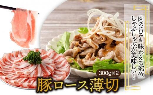 KU405-3-2601＜2026年1月発送分＞宮崎県産豚バラエティー4.1kgセット