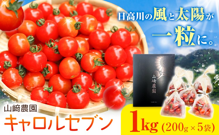 
                  和歌山産 ミニトマト トマト キャロルセブン 約1kg サイズおまかせ 山﨑農園《30日以内に出荷予定(土日祝除く)》 和歌山県 日高川町 とまと 送料無料
                