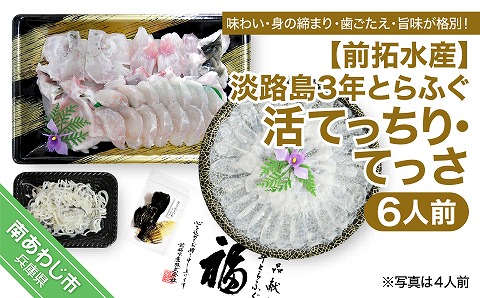 【前拓水産】淡路島3年とらふぐ（活てっちり・てっさ6人前）◆配送10月8日～3月31日