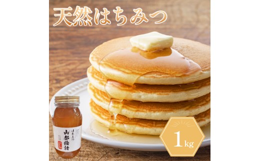 はちみつ 1kg 1瓶 国産 蜂蜜 ギフト プレゼント 個包装 無添加 無農薬 健康食品 山都物語 おすすめ
