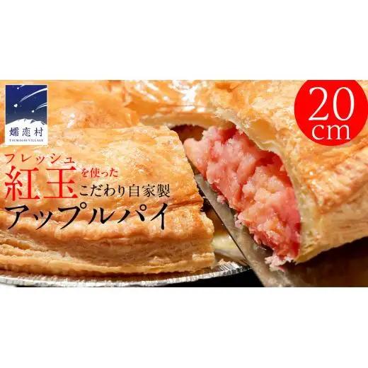 アップルパイ （ ホール 直径 20ｃｍ ） 自家製 ケーキ パイ おやつ 焼菓子 焼き菓子 リンゴ スイーツ ホール お取り寄せ お菓子 洋菓子 紅玉りんご ギフト 贈り物 [BL001tu]