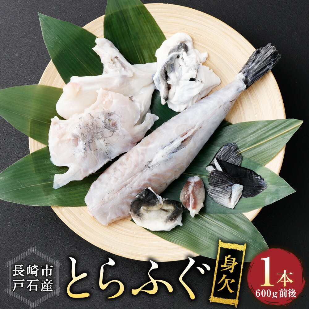 【ふるさと納税】戸石町産とらふぐ 身欠1本もの（600g前後） とらふぐ トラフグ 魚介類 水産物 冷凍 長崎県産 国産 九州 長崎県 長崎市 送料無料 【2026年11月上旬～2027年3月下旬発送予定】
