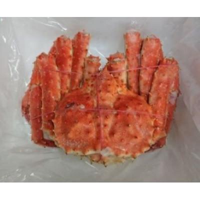 ふるさと納税 稚内市 稚内産　たらばがに姿4kg〜5kg |  | 01