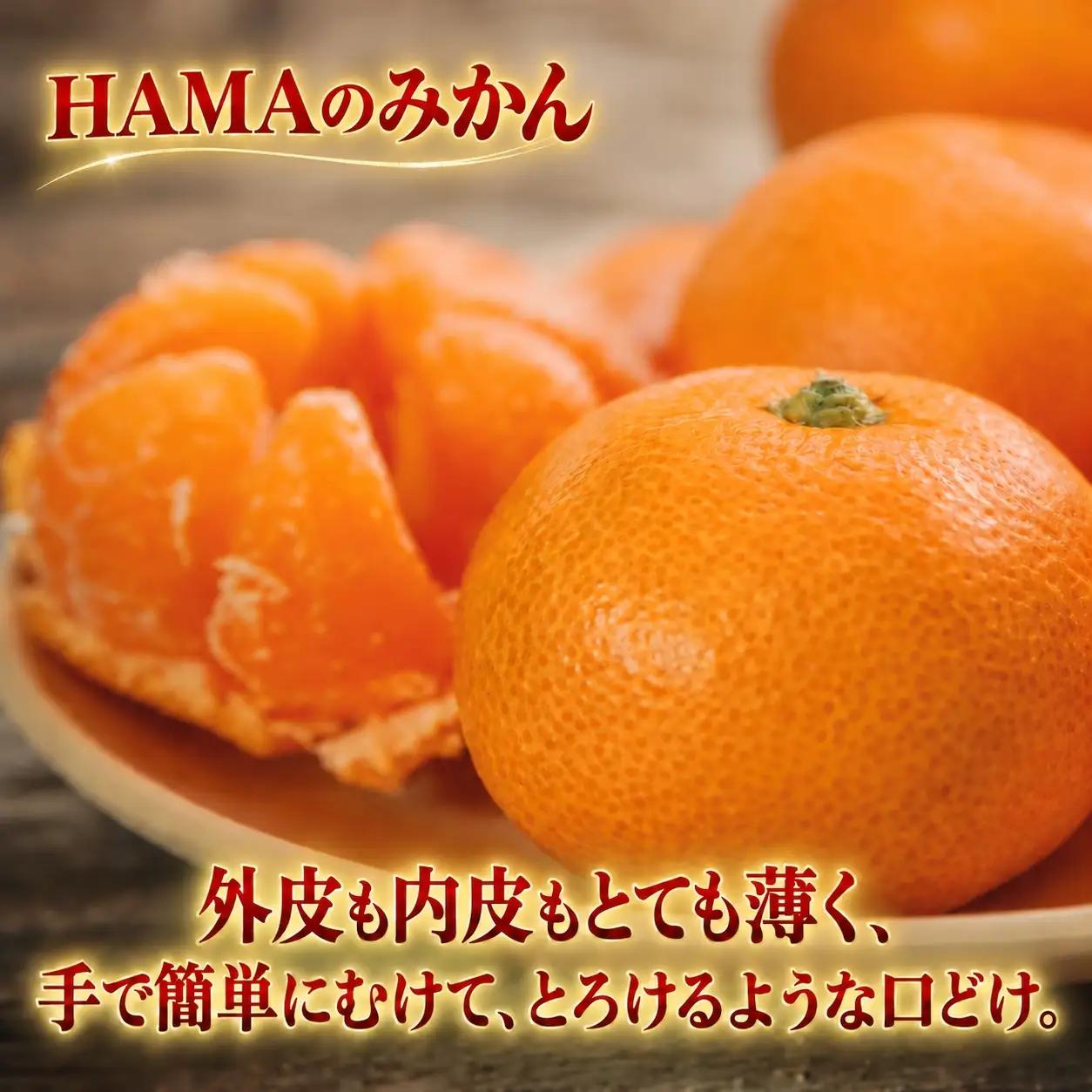 【先行受付】ミネラルを運ぶ潮風に吹かれ甘く育ったみかんを厳選　完熟「HAMAのみかん」　正味約５ｋｇ【39-95】YWTF070