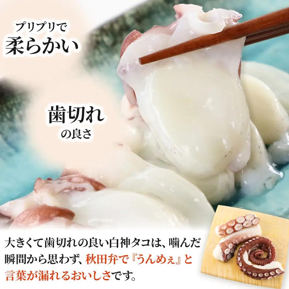 白神タコ ボイル 約1kg（2～3パック）冷凍 秋田県八峰町沖産