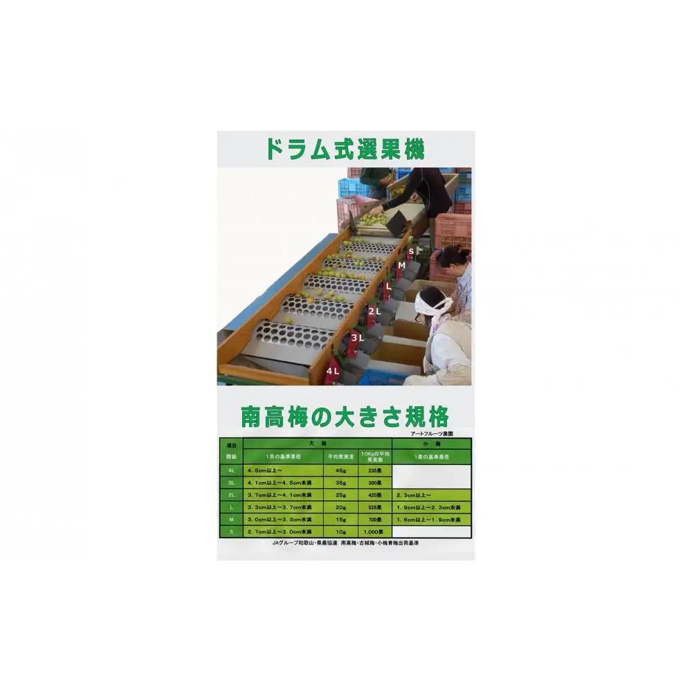 ［梅干・梅酒用］大玉4Lサイズ約10kg熟南高 生梅 ＜2027年6月上旬～7月中旬発送予定＞［ART22］