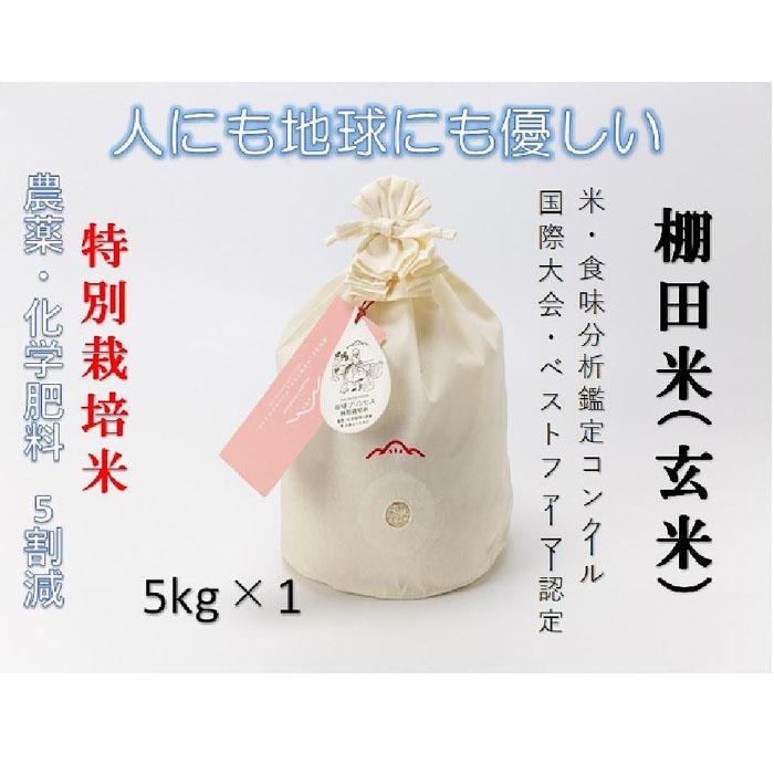 【ふるさと納税】【2025年産新米】【農薬化学肥料5割減】魚沼産コシヒカリ 苗場プリンセス 特別栽培米 玄米 5kg（5kg×1袋） コットン袋入り