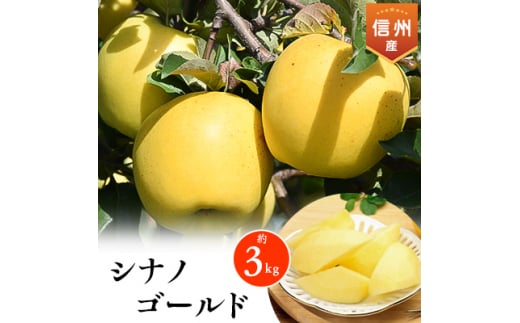 2025年!信州のりんご＜シナノゴールド＞　約3kg【1229609】