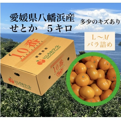 愛媛県八幡浜産「せとか」5kg　サイズL〜M【F79-29】【1698680】