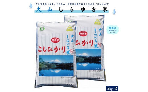 令和6年産 大山しらゆき米10kg（無洗コシヒカリ・5kg×2）