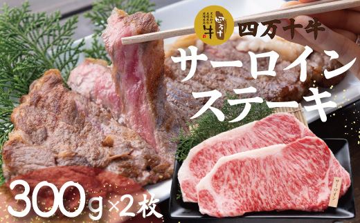 26-981．幻のメス牛　四万十牛サーロインステーキ（300ｇ×2枚）
