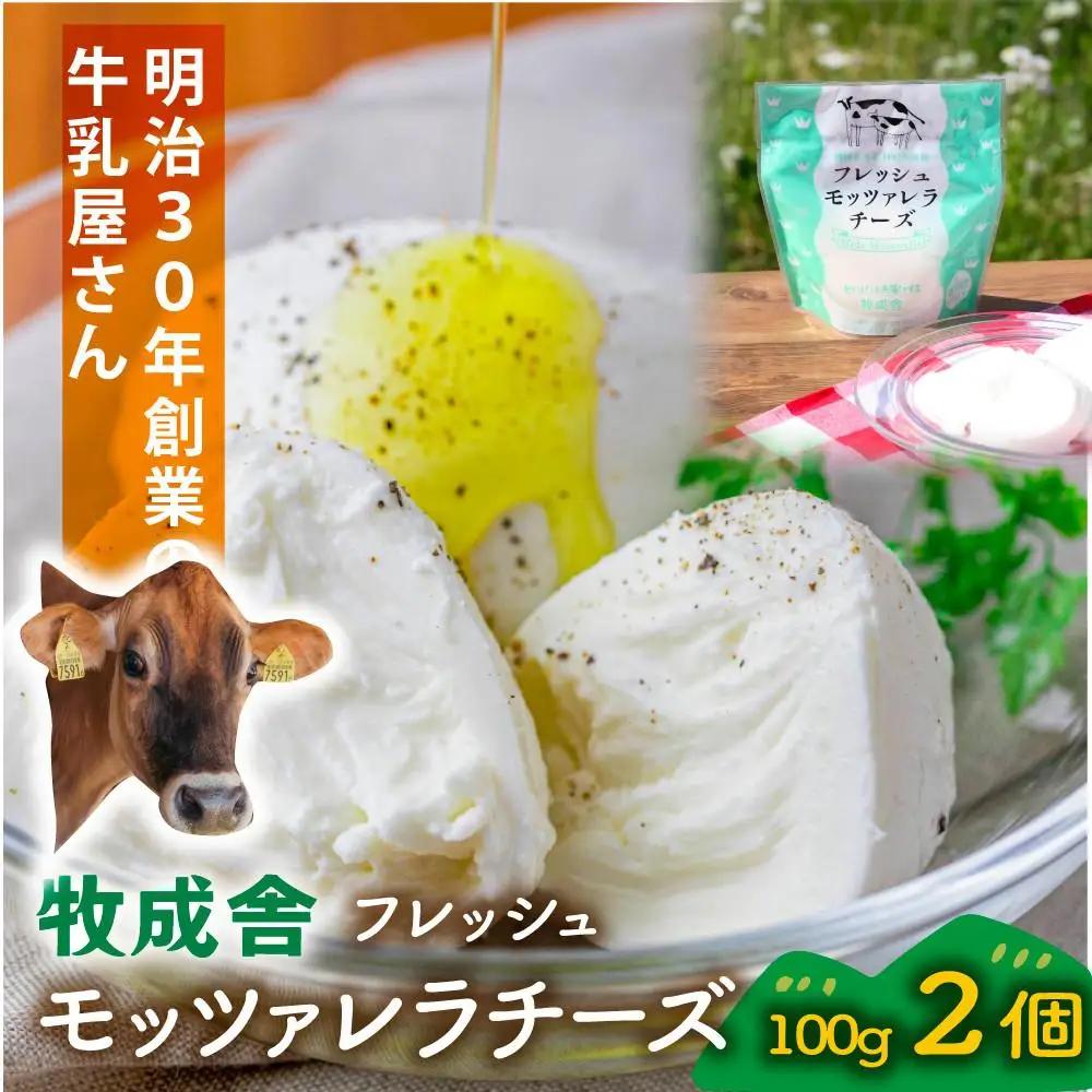 ＜牧成舎＞飛騨の牛乳屋さんが作った こだわりの フレッシュモッツァレラチーズ（100g×2個）| チーズ DF036
