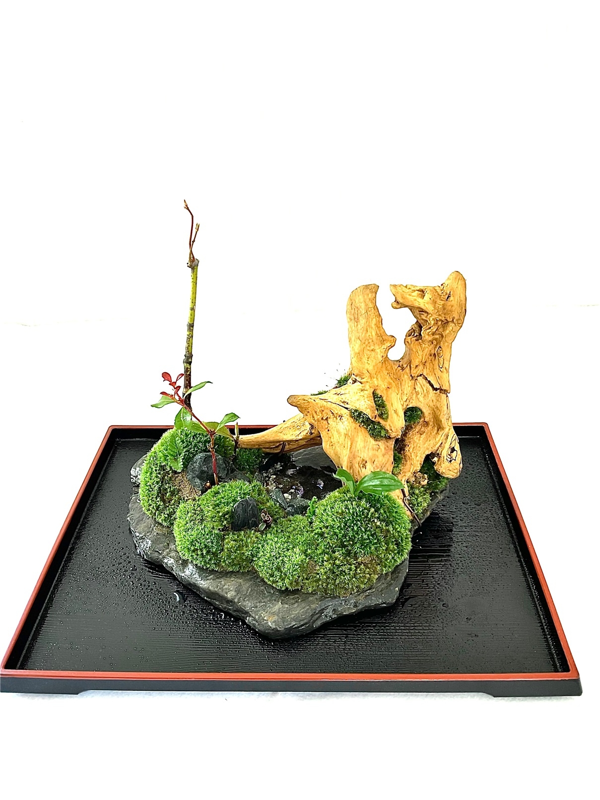 苔盆景川石山水画