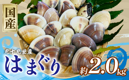 冷凍 はまぐり 合計 約 2kg 60-80g (約500g×4パック) 千葉県産 液体冷凍 九十九里 貝 魚貝 海鮮 砂抜き 国産 蛤 ハマグリ 冷凍 冷凍配送 長期保存 味噌汁 お吸い物 酒蒸し グラタン だし 出汁 網焼き クラムチャウダー 炊き込みご飯 バーベキュー BBQ 千葉県 旭市 治吉水産 hys017