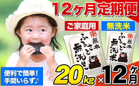 【12ヶ月定期便】熊本ふるさと無洗米 20kg 《お申込み翌月から出荷》