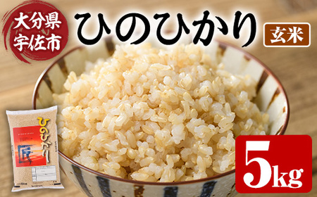＜令和7年産・新米＞ひのひかり 玄米 (5kg) お米 ごはん ご飯【107101302】【あいはな農園】