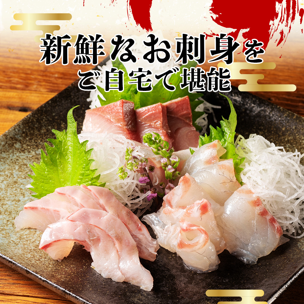 （冷蔵） お刺身 おまかせ セット ２ ～ ３種 約 800ｇ 城水産 朝どれ 刺身 刺し身 鯛 タイ 鰤 ブリ 鮪 マグロ 平昌 ヒラマサ 勘八 カンパチ シマアジ ヒラメ 新鮮 魚 魚介 海鮮 産