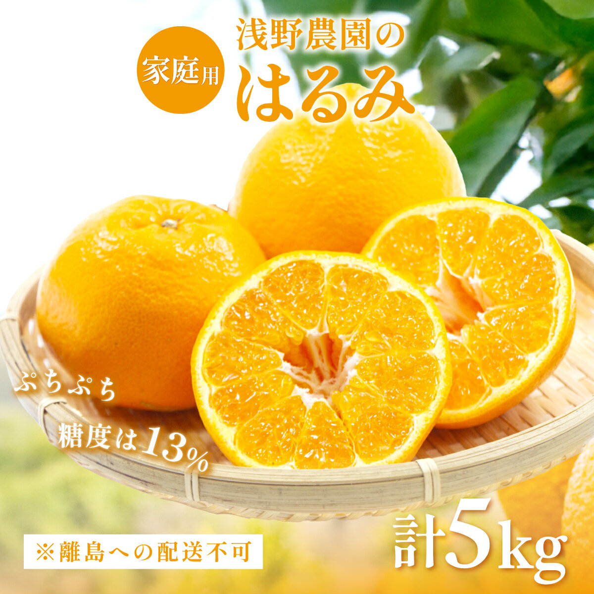 【ふるさと納税】【先行予約】【家庭用】はるみ計5kg※離島への配送不可（2026年2月上旬頃より順次発送予定） 【 ふるさと納税 人気 おすすめ ランキング 柑橘 みかん ミカン フルーツ 果物 愛媛 有名 代表 高級 愛媛県 伊方町 送料無料 】IKTAC031