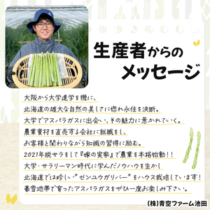 【先行予約/令和6年産】北海道岩見沢産　夏グリーンアスパラ　L～2Lサイズ 1kg【41104】