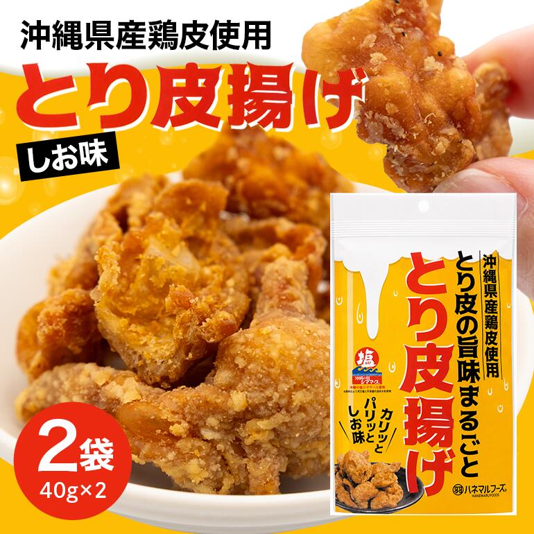 【ふるさと納税】とり皮の旨味まるごととり皮揚げ2袋 とり皮 鶏皮 揚げ スナック 塩 しお 味 とり 鶏 おかず おつまみ おやつ チップス カリカリ 国産 沖縄 浦添市 UA03-001