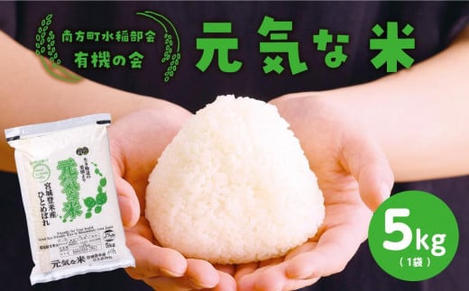 【令和6年産米 先行予約】宮城県登米産 ひとめぼれ 元気な米 5kg 特別栽培米認証Bタイプ 白米 精米 米 お米 おこめ ごはん ご飯 宮城県 登米市 ふるさと納税 有機の会 ブランド米 5kg 送料無料 ハラール認証 登米ブランド認証品