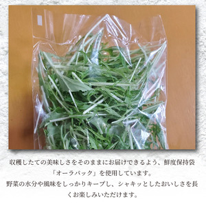 【 有機野菜 】 カット野菜 7袋 詰め合わせ 有機野菜
