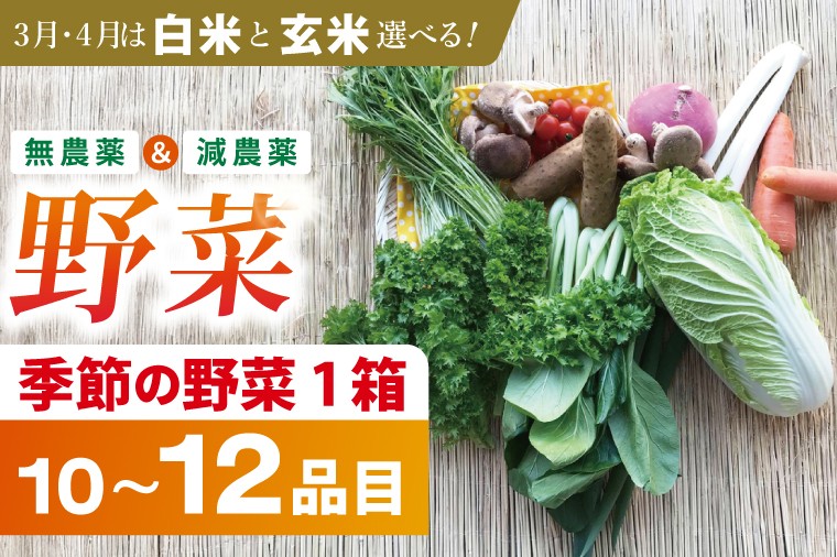 
                  身体が喜ぶ季節の野菜 10～12品目(3月、4月は米 5kg)｜米 お米 こめ 玄米 野菜 野菜セット 栽培期間農薬不使用 茨城県共通返礼品 共通返礼品 茨城県 潮来市 行方市(BI-8)
                