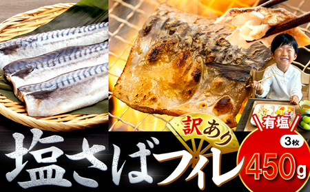訳あり 塩 サバ 約450g 3枚 冷凍 鯖 塩 サバ 魚 さかな 海鮮 海産物 おかず 鯖ご飯 おすすめ 人気 鯖 魚 魚介 海鮮