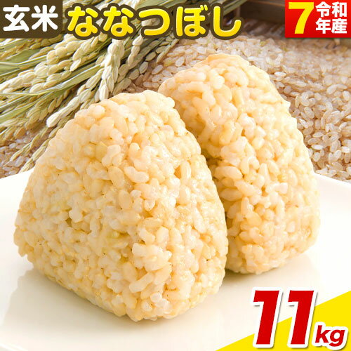 【ふるさと納税】【令和7年産先行予約】《10月末～（新米収穫出来次第、出荷）》玄米ななつぼし11kg 四季農場 北海道 当別町 米 お米 おこめ ライス ご飯 ごはん ななつぼし 玄米 農業 スマート農業 北海道産 単一原料米 自然環境共存型 ビオトープ利用型 雪解け水 送料無料