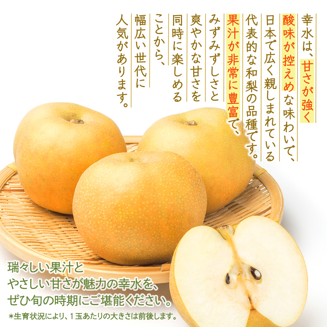 幸水 約3kg【2026年8月より発送開始】（茨城県共通返礼品 [梨]：大子町産） 高糖度 ギフト 贈り物 プレゼント フルーツ なし ナシ 和梨  梨 果実 旬のフルーツ お取り寄せ くだもの 果物