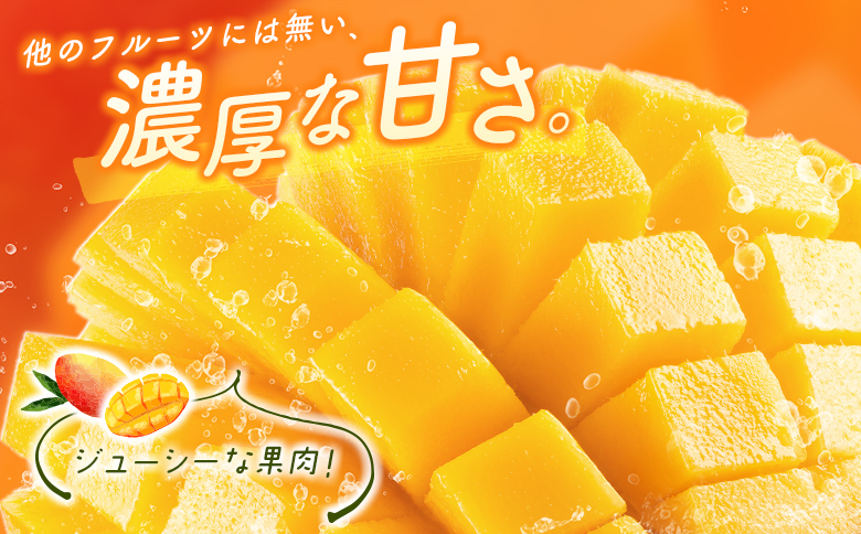 ＜数量限定＞宮崎県産 完熟マンゴー2L×3玉（計1kg以上）※2026年4月下旬配送開始 化粧箱入 フルーツ くだもの【D147】