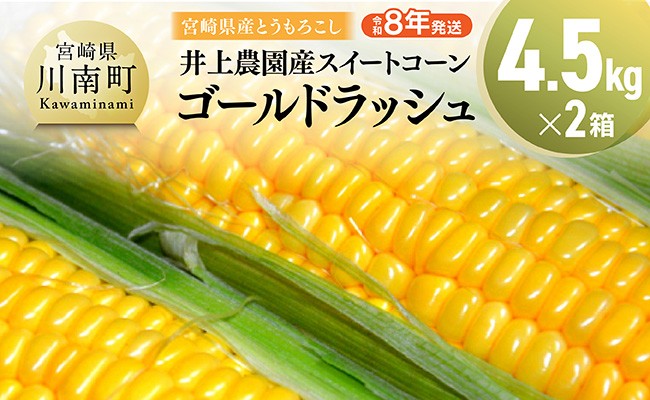 
            【令和8年発送】宮崎県産とうもろこし　井上農園産スイートコーン(ゴールドラッシュ)4.5kg×2 【 トウモロコシ スィートコーン 2026年発送 先行予約 数量限定 期間限定 】
          